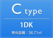 Ctype 1DK