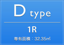 Dtype 1R