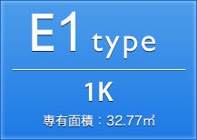 E1type 1K